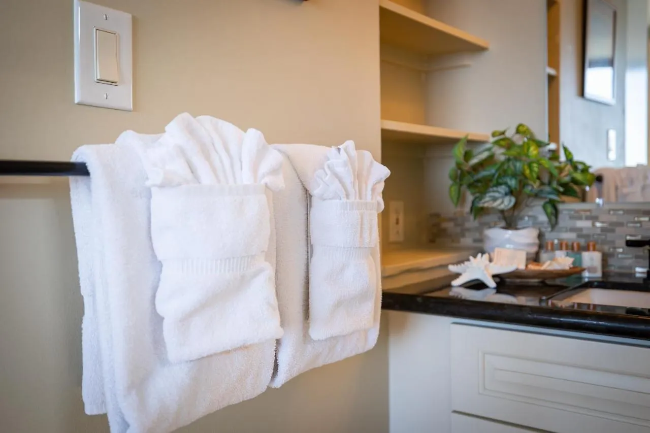 Stylish Ocean View Condo Near Waikiki Beach With Free Parking! 檀香山 0*,